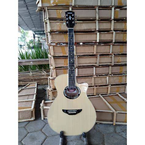 Harga Yamaha APX 500II