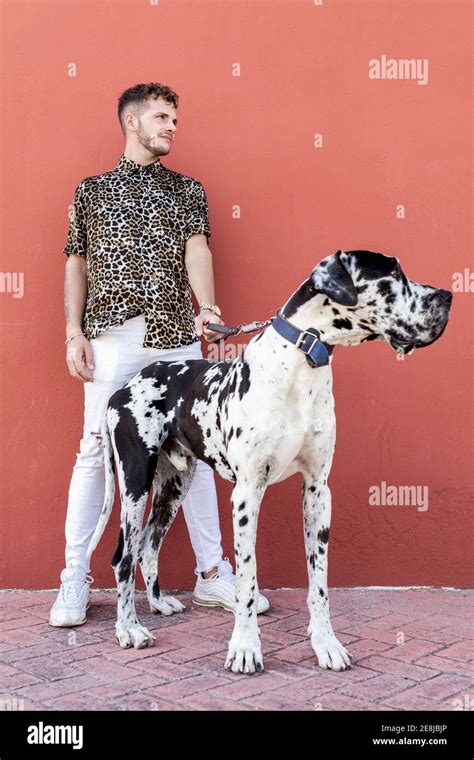 Pin by Nano Nimri on Beautiful Cute animals, Baby dogs, I love dogs