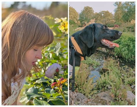 Harlow Carr accessibility