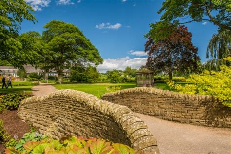 Harlow Carr features