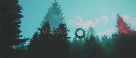 Harmony of Time and Nature