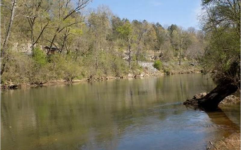 Harpeth River Water Level