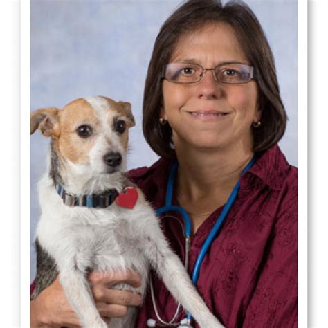 Harrison Animal Clinic: Exceptional Pet Care in the Heart of Harrison, AR