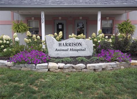 Harrison Street Animal Hospital: Top-quality Pet Care Services for Your Furry Companions