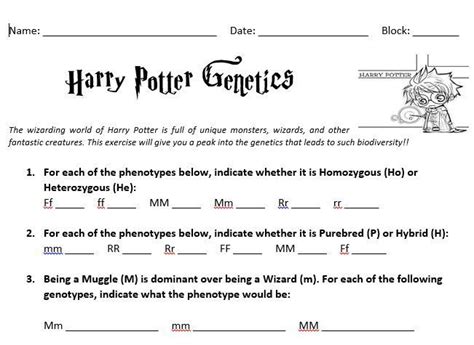 Harry Potter Genetics Worksheet