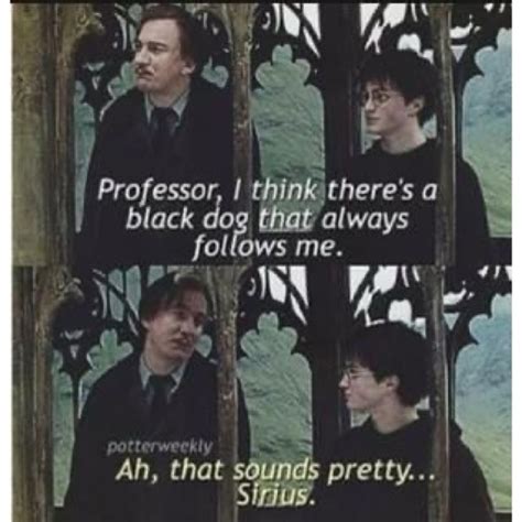 Harry Potter Disney Memes Clean
