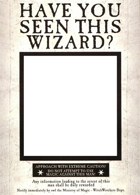 Harry Potter Have You Seen This Wizard Printable