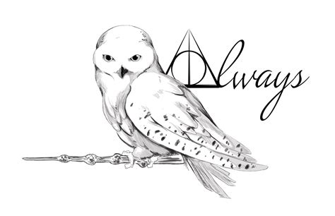 magical owl tattoo design inspired by Harry Potter Owl