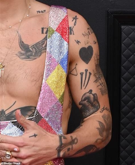 Harry Styles Tattoos Back