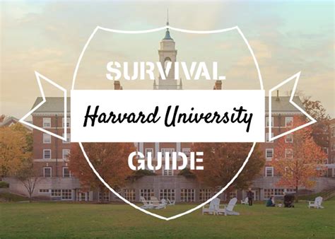 Harvard's Survival Guide: Navigating the Post-Gay Era Image