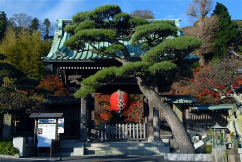 Hasedera Temple View