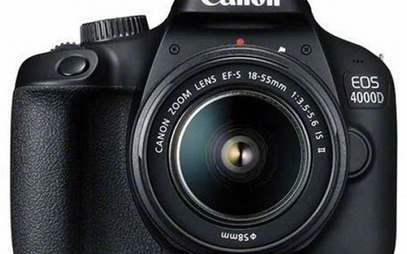 Hasil Gambar Kamera Canon 4000D
