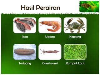 Hasil Perairan