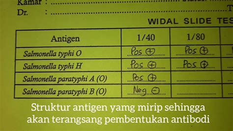 Hasil positif tes Widal