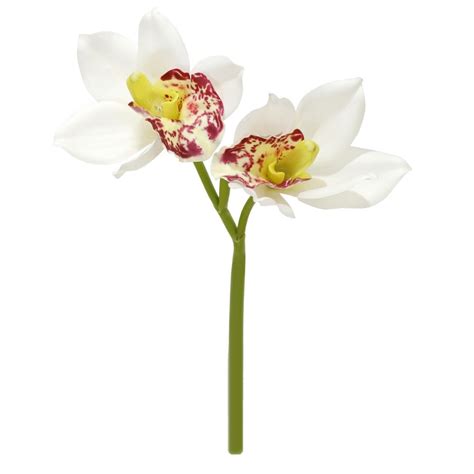 Haste Floral Orquidea Cymbidium