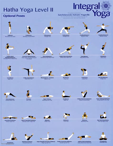 Hatha Yoga: Unlock Core Yoga Principles.