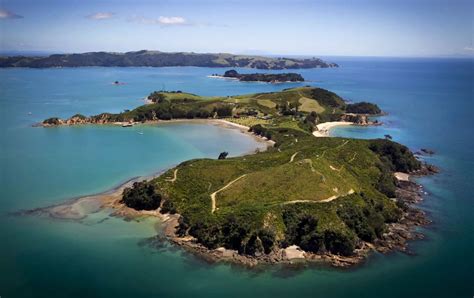 Hauraki Gulf Experiences