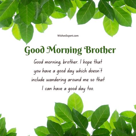 Have A Good Day Brother Quotes