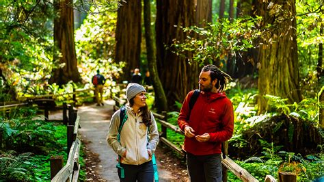 Have Fun at Muir Woods