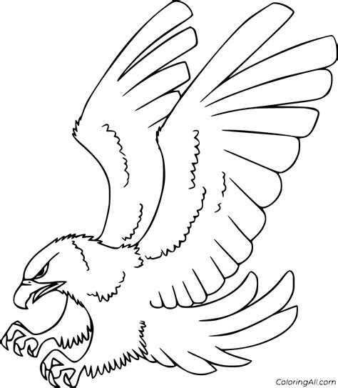 Hawk Coloring Pages