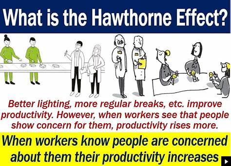 Hawthorne Effect image
