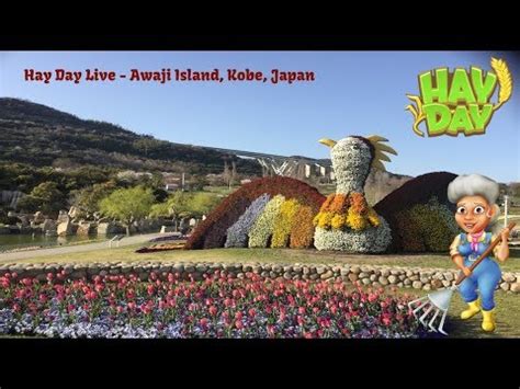 Hay Day Live Stream   From Awaji Island Kobe Japan   Westin Hotel