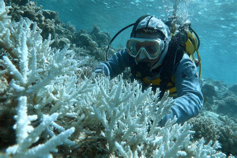 Hazard and Diving Pay