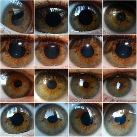 Hazel Eyes Color Chart