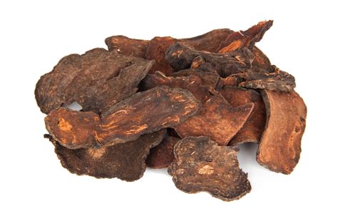Revive Your Skin with He Shou Wu – Nature's Secret to Reversing Aging and Achieving Radiant Beauty!