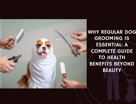 Health Benefits of Regular Grooming