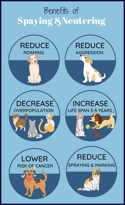 Health Benefits of Spaying