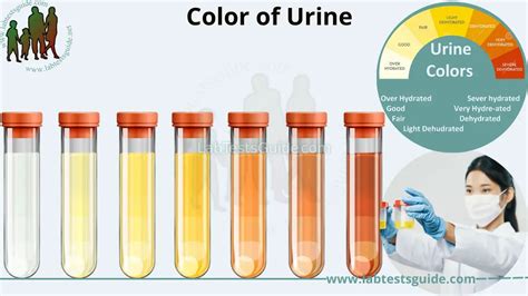 Health Considerations Specific to Color Dilution
