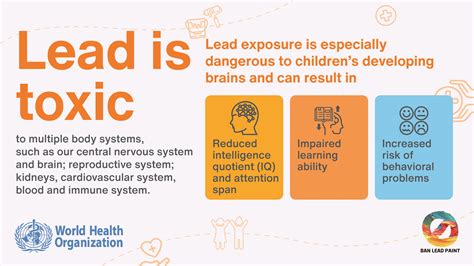 Health Risks of Lead Exposure