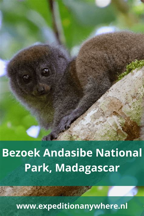 Health Tips Andasibe