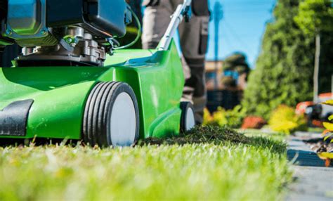 Health benefits of lawn care training videos