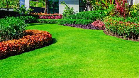 Healthier Lawn and Garden