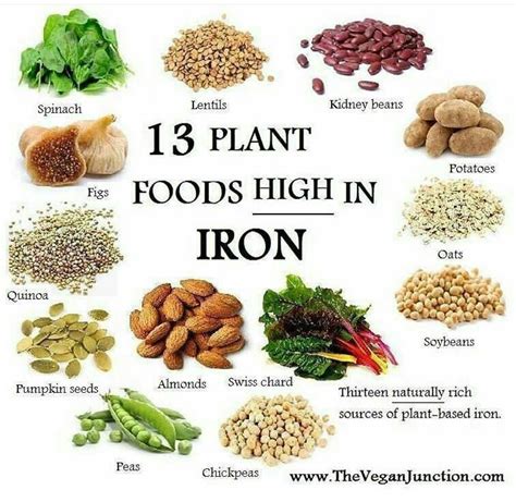 Healthy Foods High In Iron