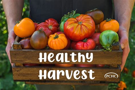 Healthy Harvest