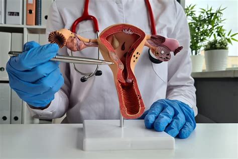 Healthy Uterus: Signs & Simple Maintenance Tips