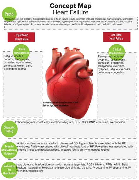 Congestive Heart Failure 1 Concept Map ! PDF Heart Failure Physiology
