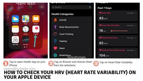 Heart Rate Variability in Apple Watch: Explained