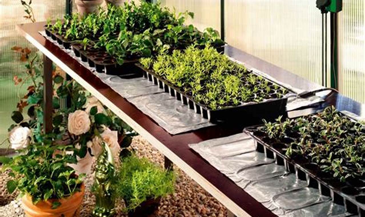 Heat Mat For Plants