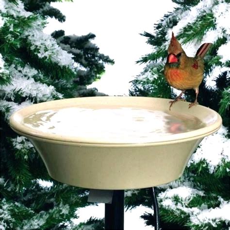 Experience the Ultimate Luxury for Your Feathered Friends with Heated Bird Bath from Menards