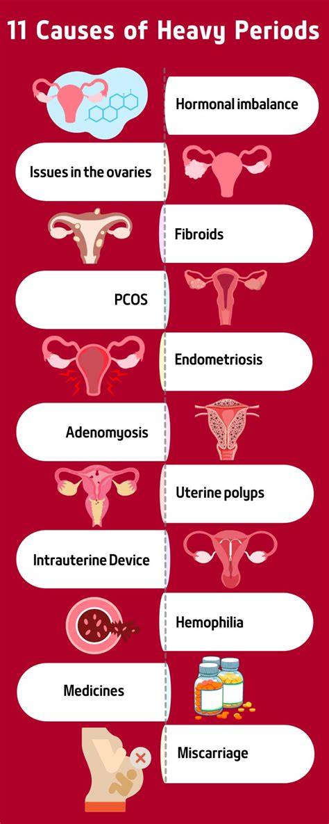Heavy Periods: Causes & Effective Treatments
