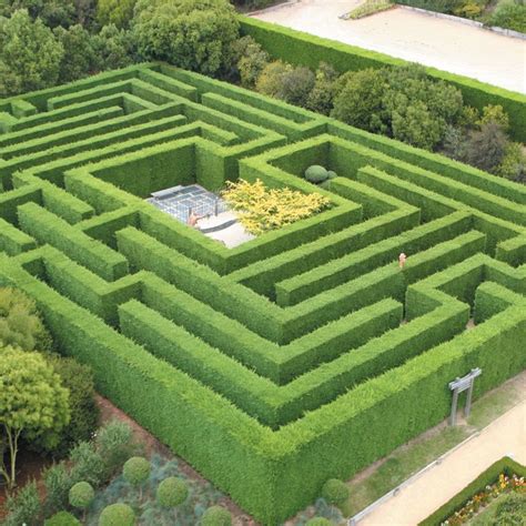 Hedge Mazes