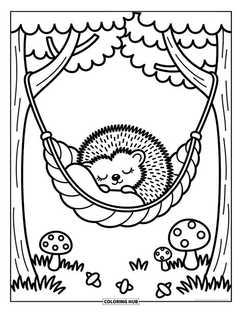 Hedgehog Coloring Pages For Adults