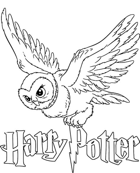 Hedwig Coloring Page