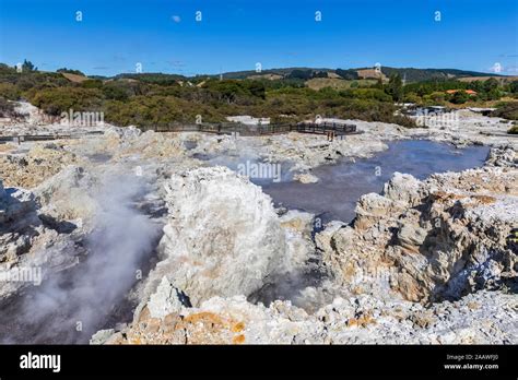 Hell's Gate Geothermal Activity