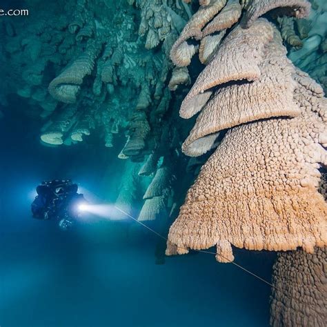 Hell Bells Cenote