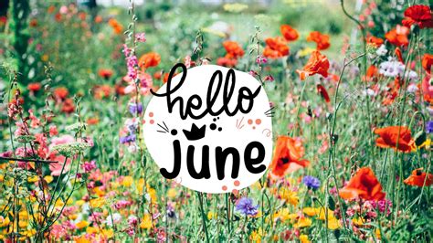 Hello June Flowers Image